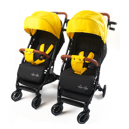 Lightweight twin buggy best sale